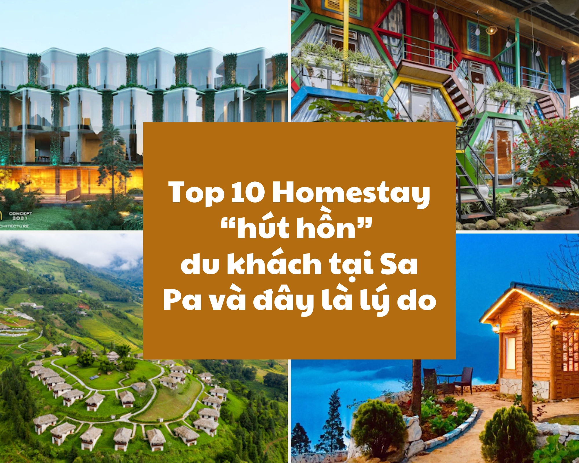 Top 10 Homestay “Hút Hồn” Du Khách Tại Sa Pa Và Đây Là Lý Do (Phần